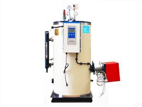 स्पा के लिए 0.5T गैस चालित स्टीम जेनरेटर